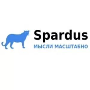 SEO-продвижение и оптимизация сайтов - Spardus